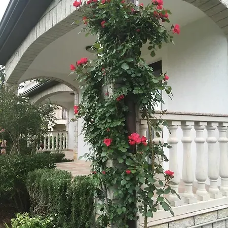 David Apartmán
